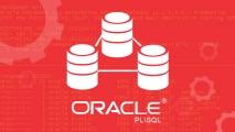  مدخل الى Oracle PL\SQL