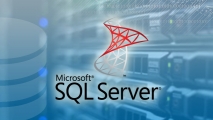 مقدمة في استخدام SQL Server