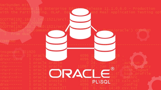 شرح برنامج ORACLE لانشاء قواعد بيانات مؤمنة LargeCourse_coverimage