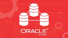  مدخل الى Oracle PL\SQL دورة تدريباونلاين